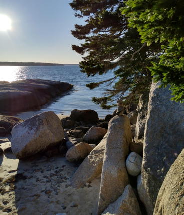 Deer Isle shore at Haystack