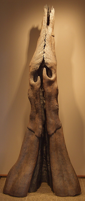 06_10_27_snhu_9362.jpg